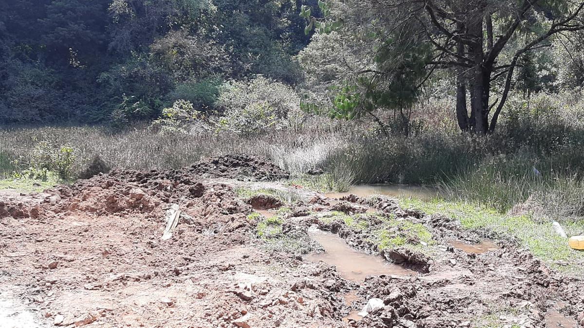 Damage to wetland inside forest draws criticism from conservationists in Nilgiris
