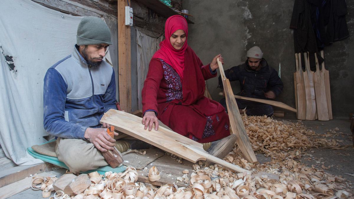 Cricket bat industry in Kashmir stares into oblivion amid growing willow cleft shortage