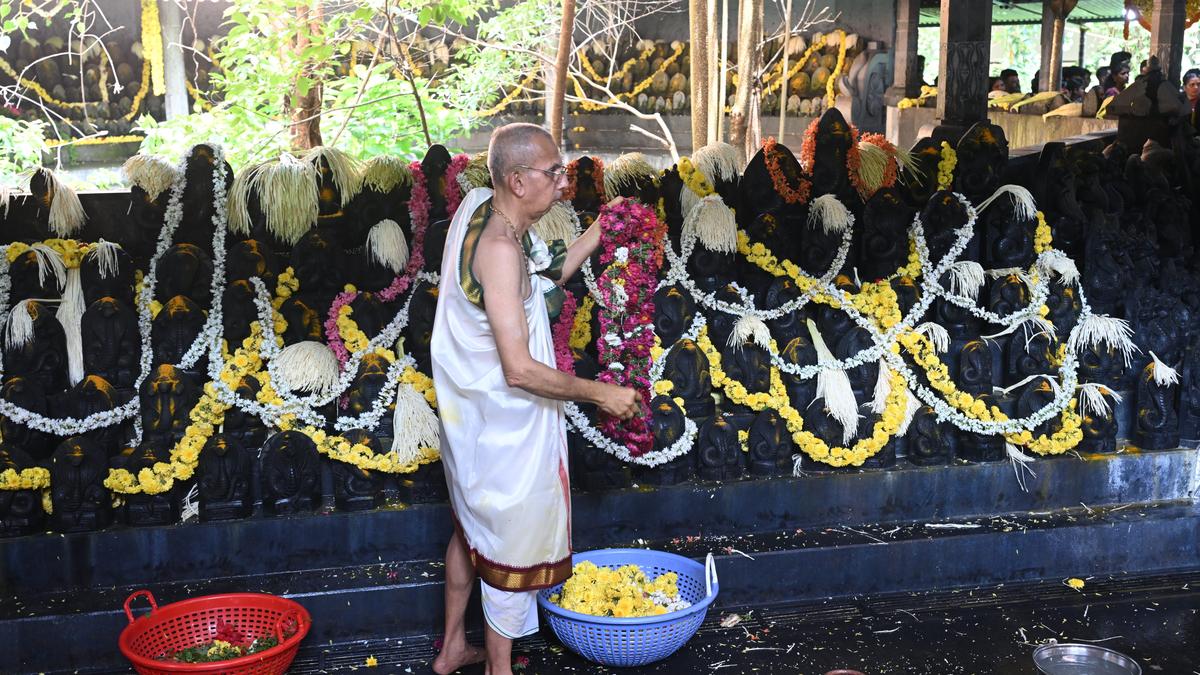 Nagara Panchami celebrated with pomp and gaiety in coastal belt