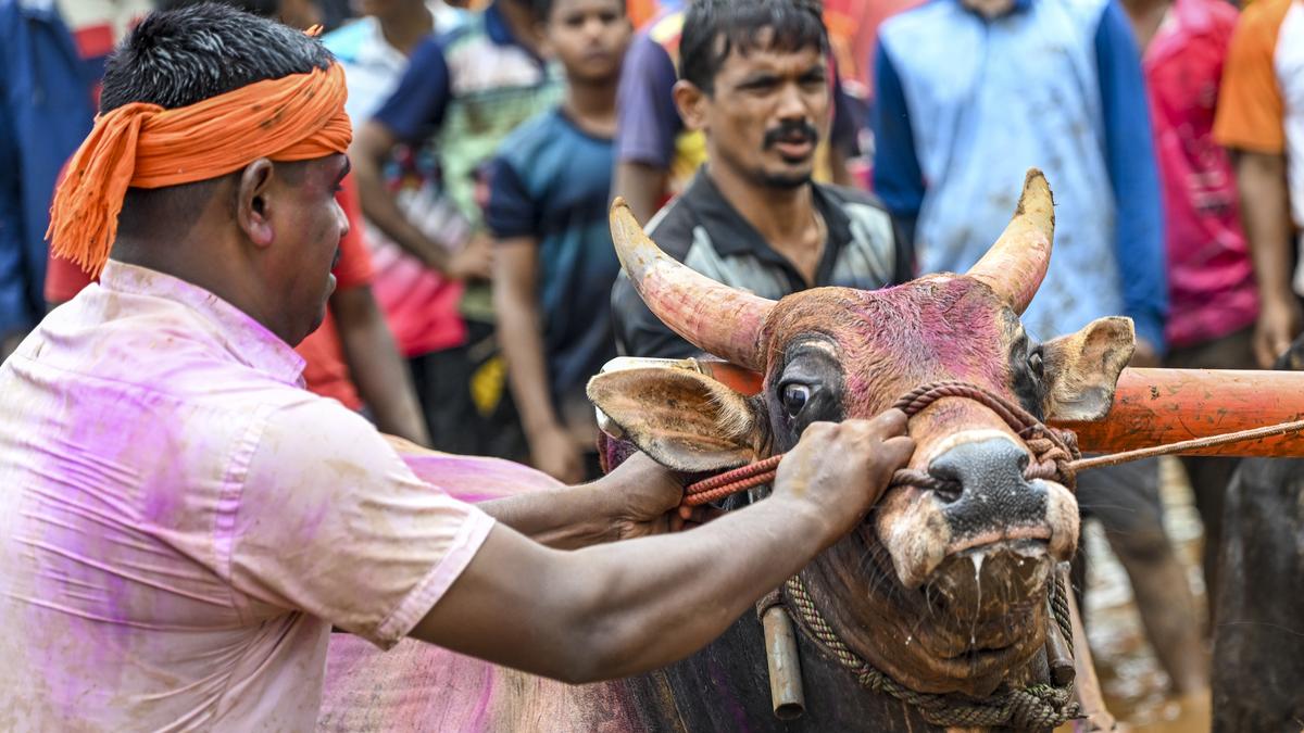 News In Frames | Konkan’s own derby