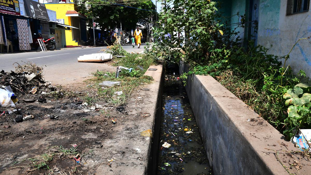 Clogged drains, open dumping of waste pose problems for residents of Ward 42 of Coimbatore Corporation