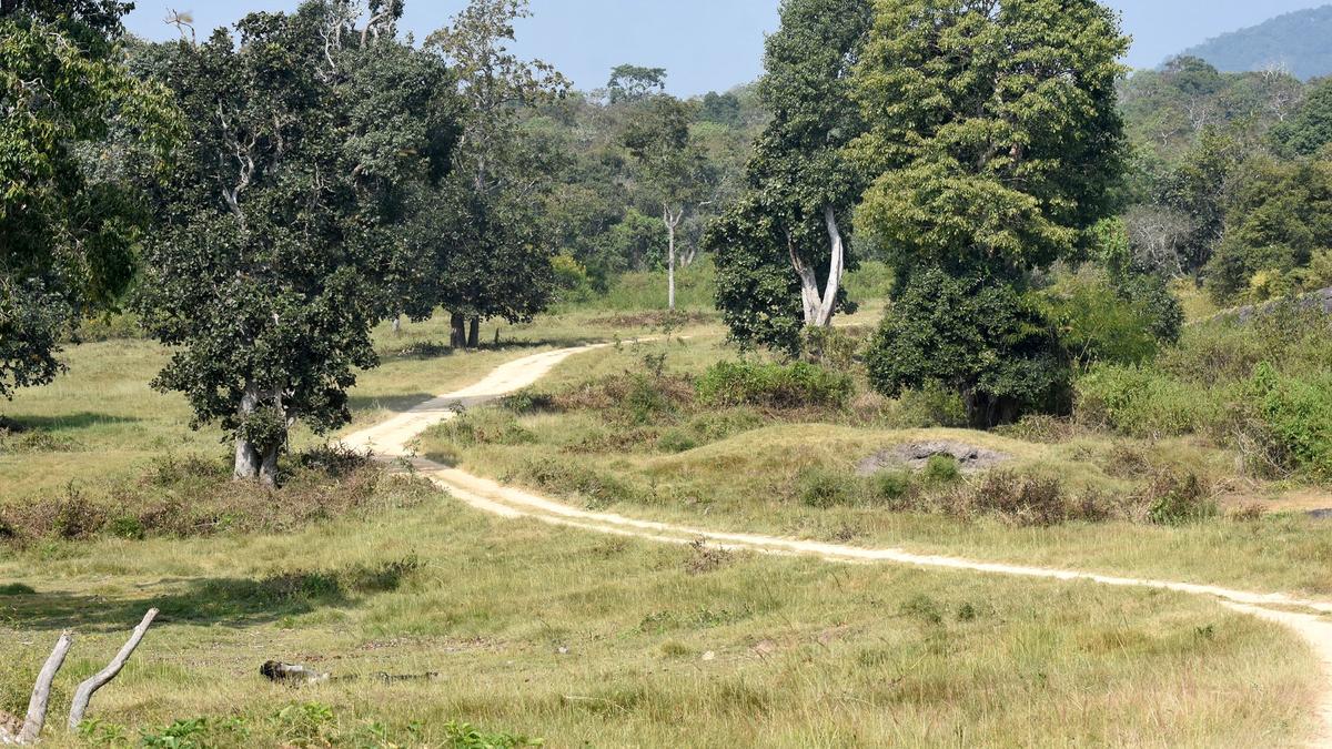 Prime Minister Narendra Modi’s brother, family injured in accident near Mysuru