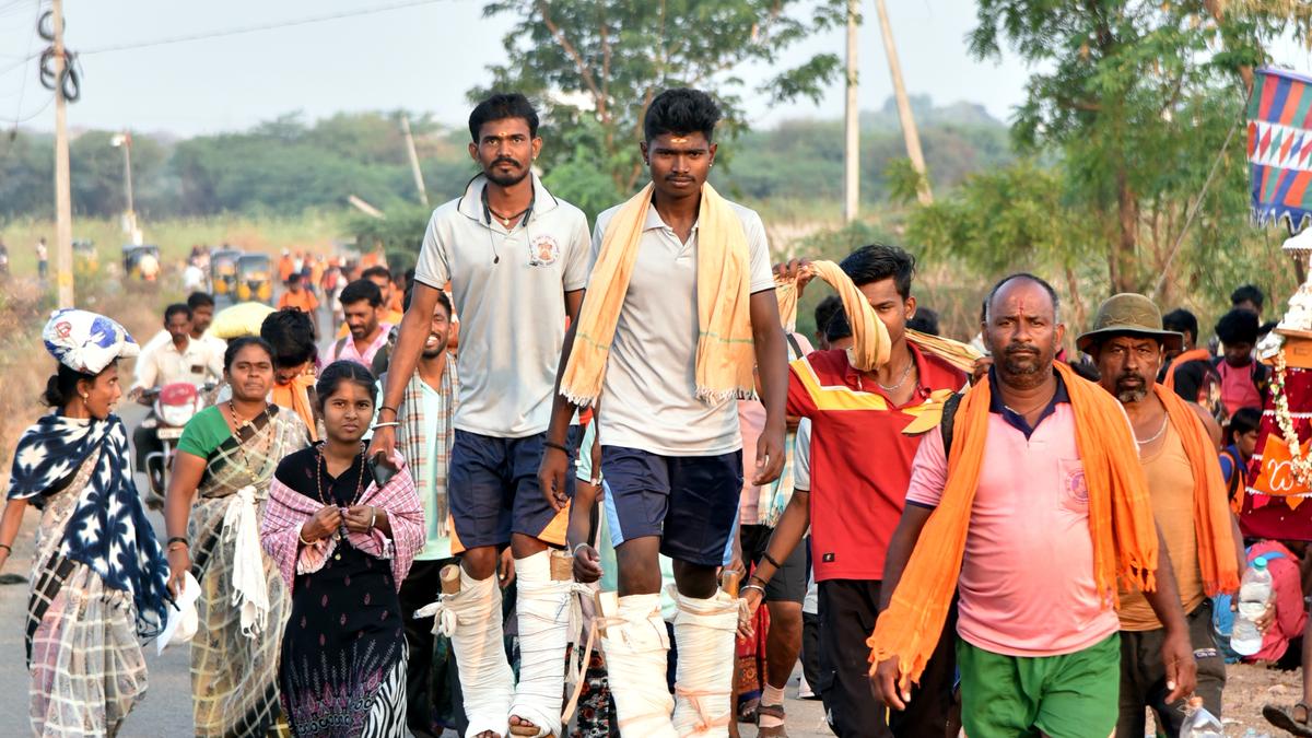 Trek to Srisailam Temple: A gruelling journey and a tale of unwavering devotion
Premium