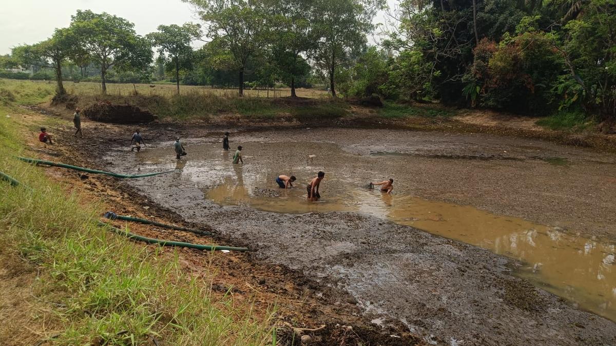 Shedikere, a waterbody, at Salikeri near Brahmavara in Udupi district is being de-silted by doctor Satish Kamath of Udupi now in 2024. PHOTO: 