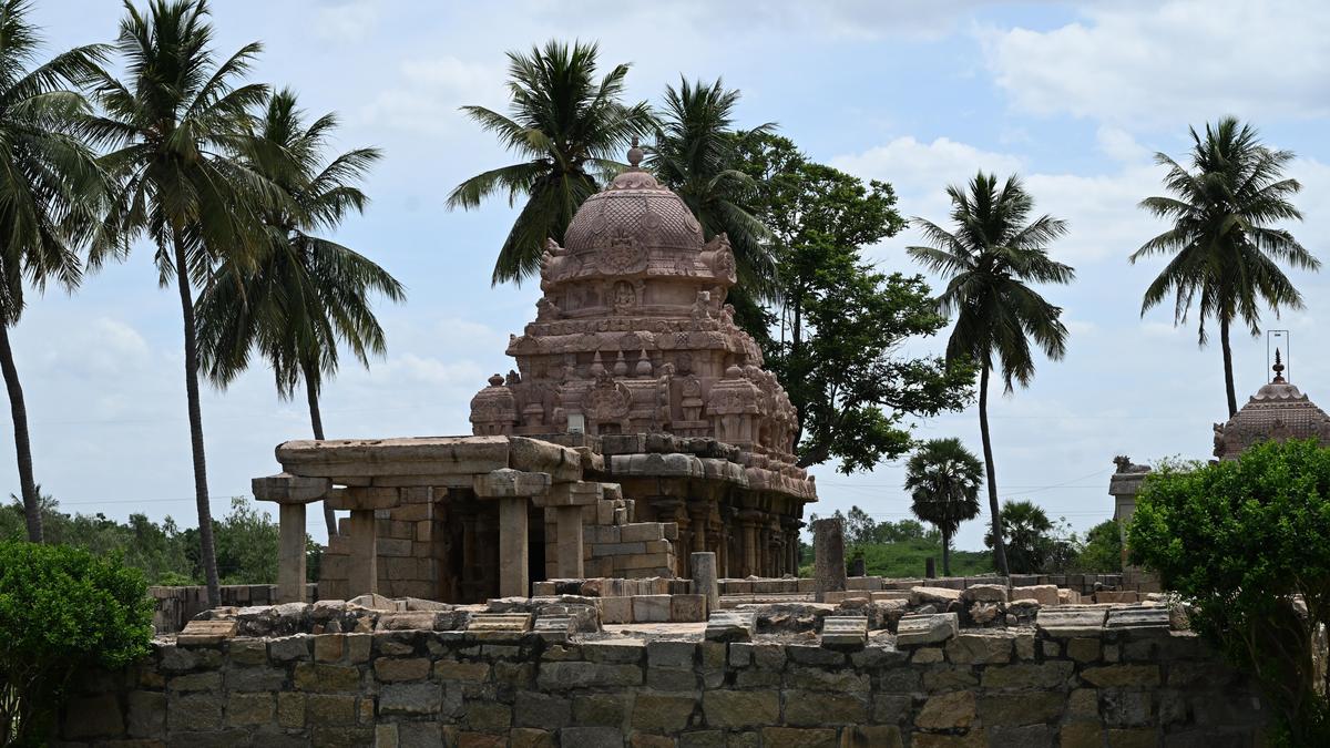 Tamil Nadu Assembly election 2026: Touted as cement hub, but for Ariyalur constituency voters the future appears grey