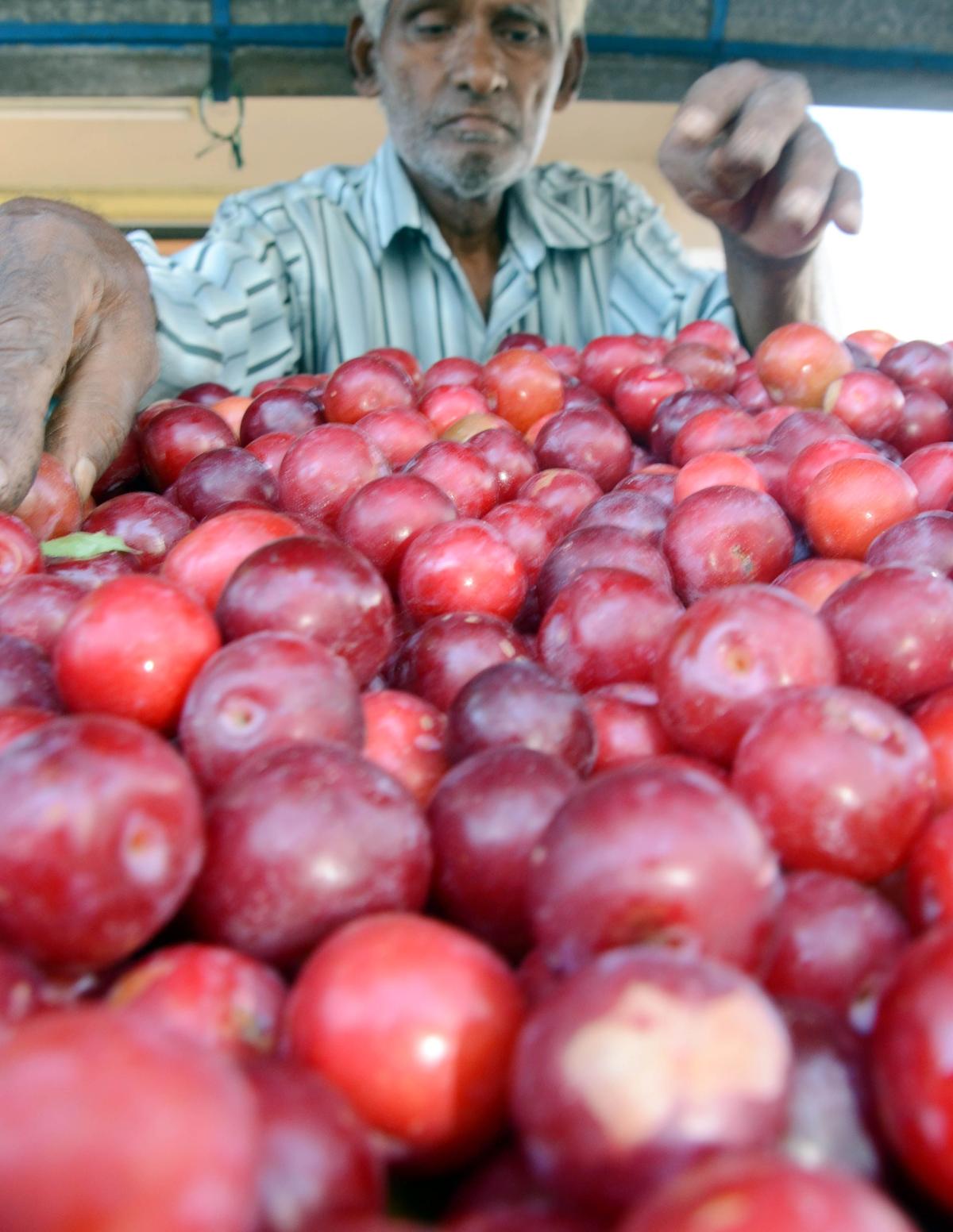 The plums here are known for their juicy and sweet-tart odor