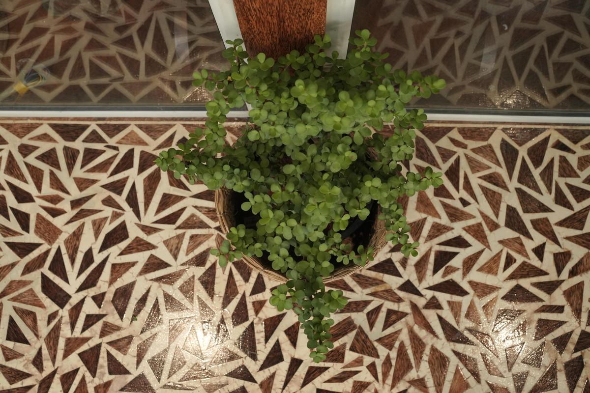 Flooring made of coconut shells