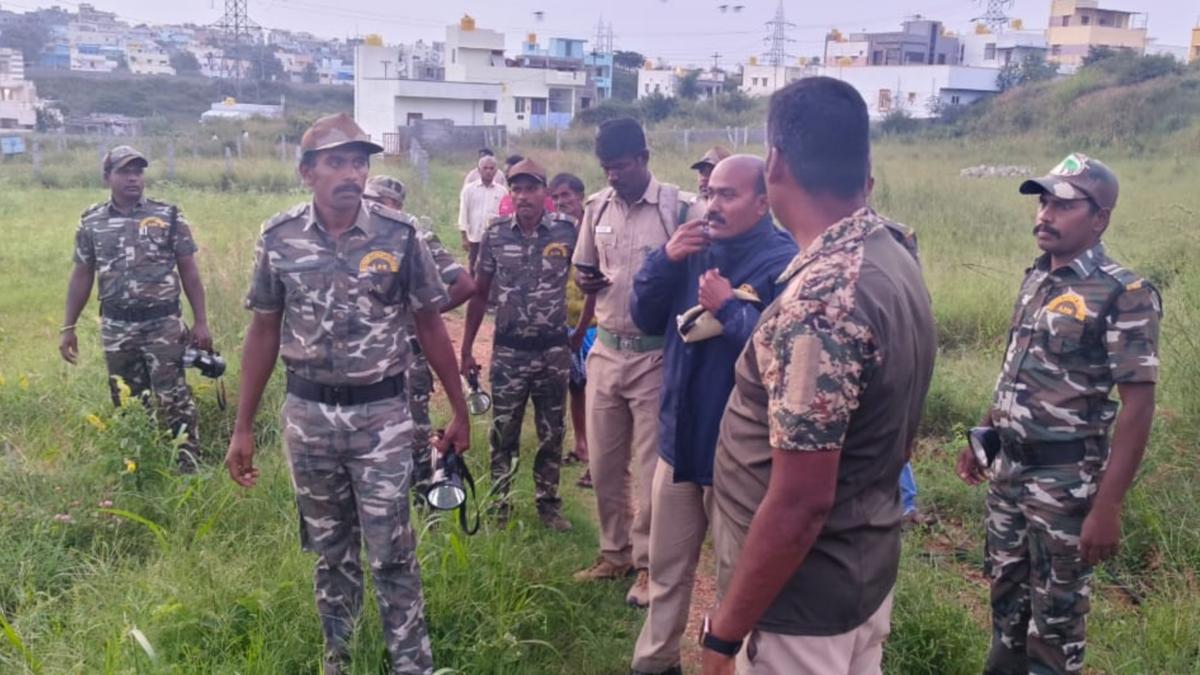 Leopard sighting in Hosur puts residents, Forest Department on high alert