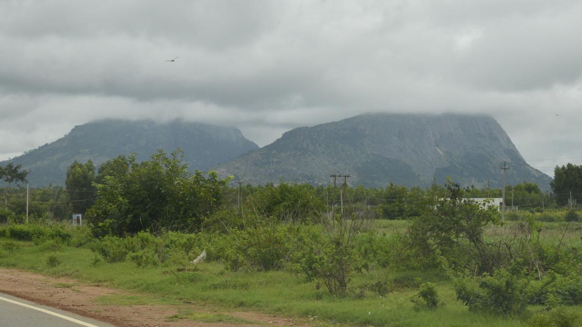 NGO demands biodiversity hub tag for Nandi Hills