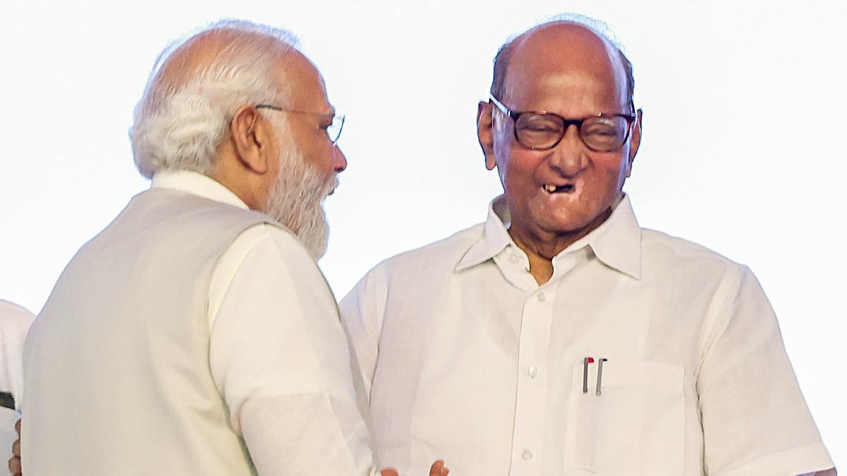 Sharad Pawar meets PM Modi, gifts him pomegranates from Maharashtra