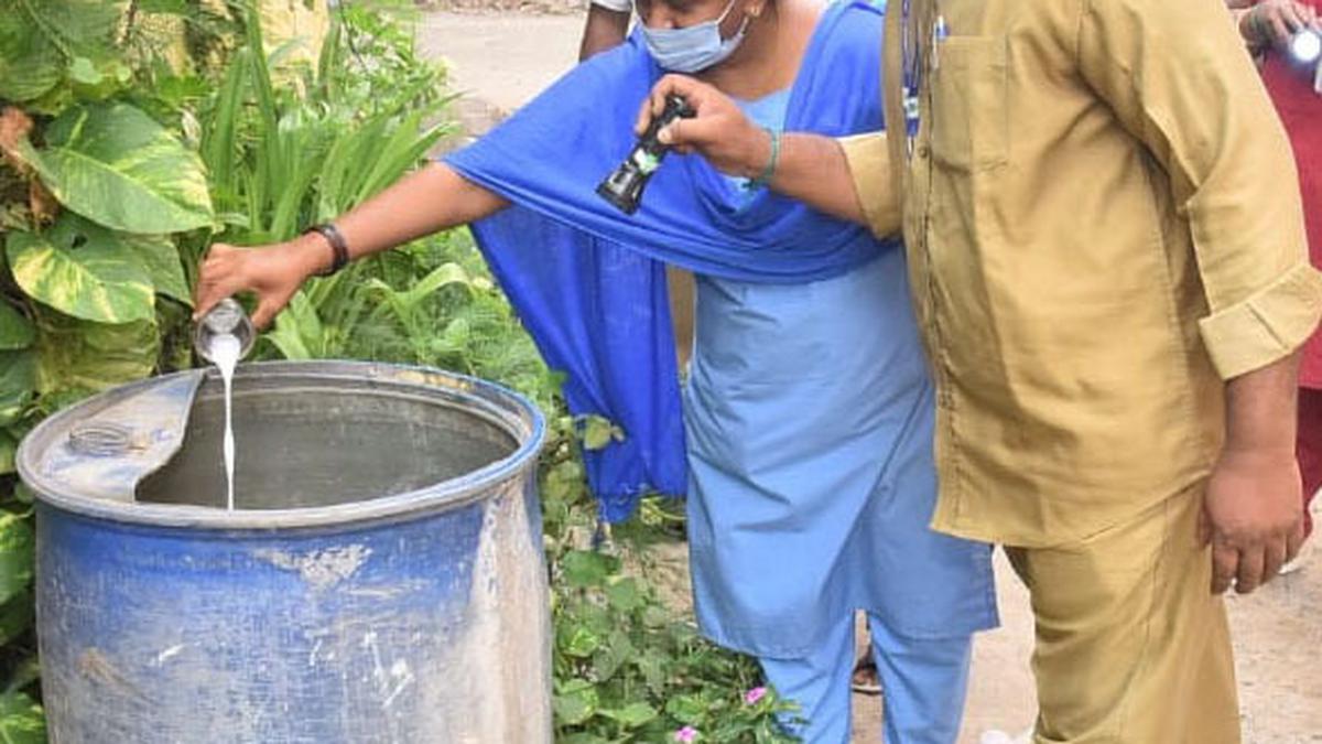 Coimbatore Corporation intensifies anti-dengue drive, as cases spike