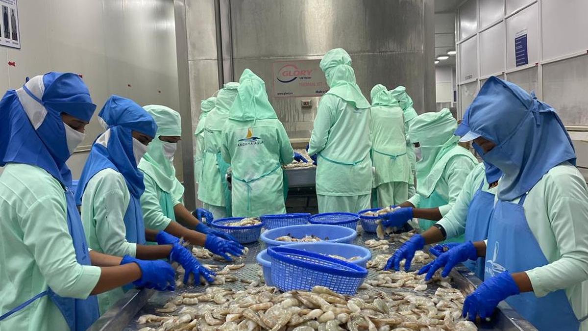 Bulk of India’s seafood exports in last two fiscals were from Andhra Pradesh, say officials