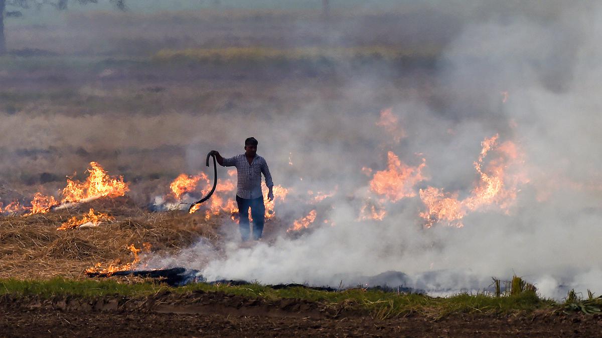 Haryana CM takes a dig at Punjab government over stubble burning