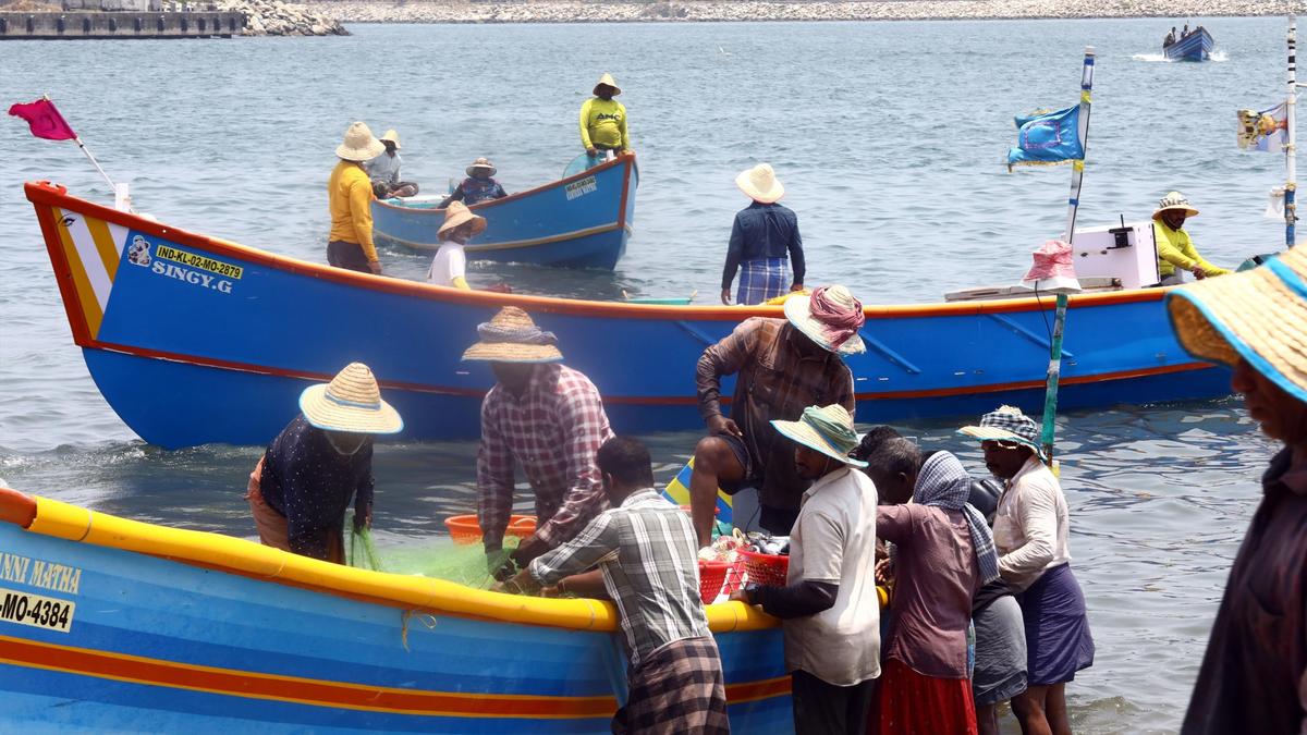 Harsh sun leaves traditional fishers in distress