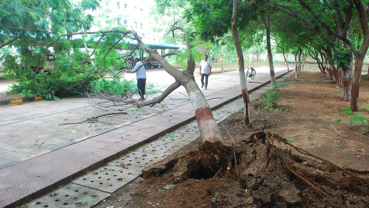 Active monsoon brings rain over Telangana