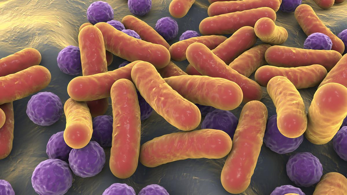 Salmonella outbreak tied to eggs sickens dozens across 7 states in US
