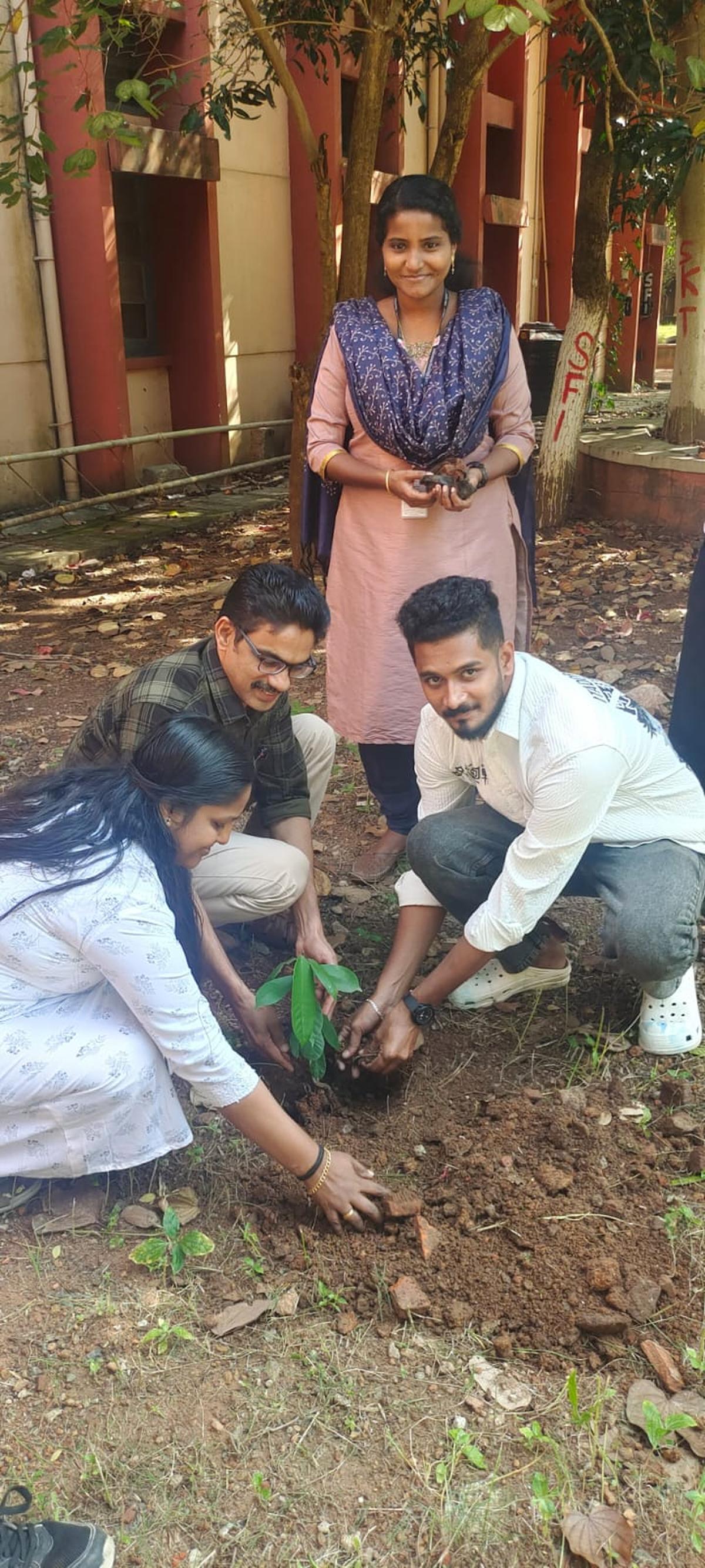 Kunthirikkam being planted on University College campus