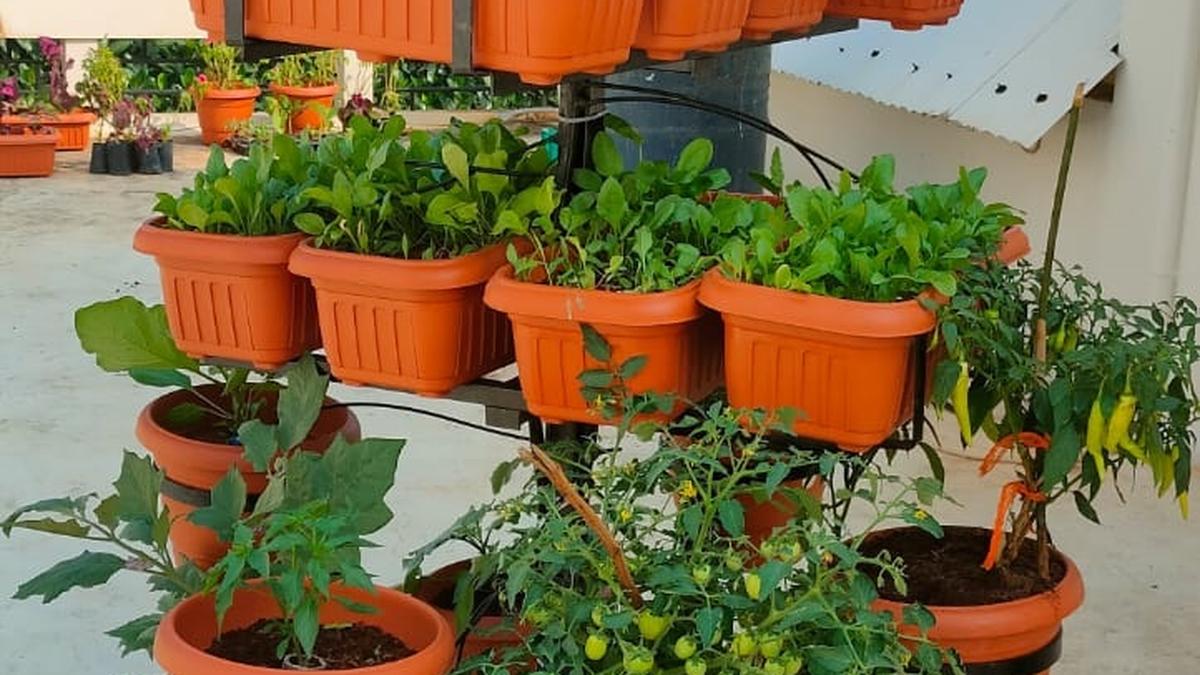 Portable garden a hit with farming enthusiasts