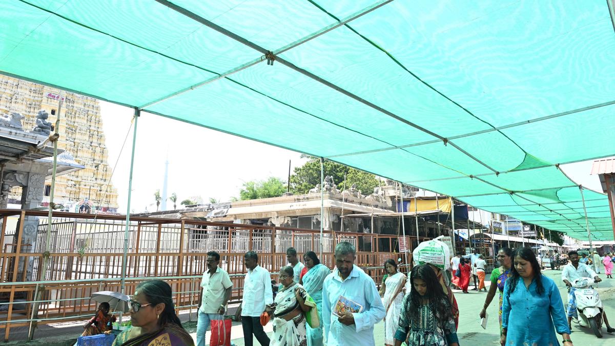 Green shade net spread to protect devotees from hot sun in Rameswaram