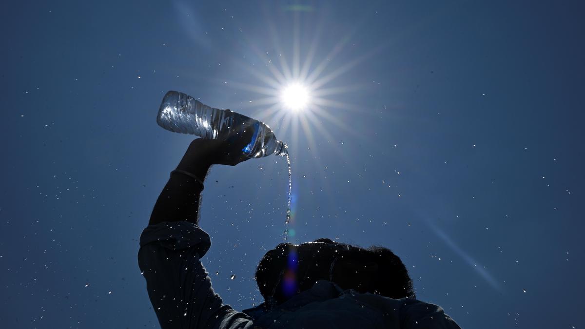 85% of Chennai residents see climate change as an immediate threat, finds survey