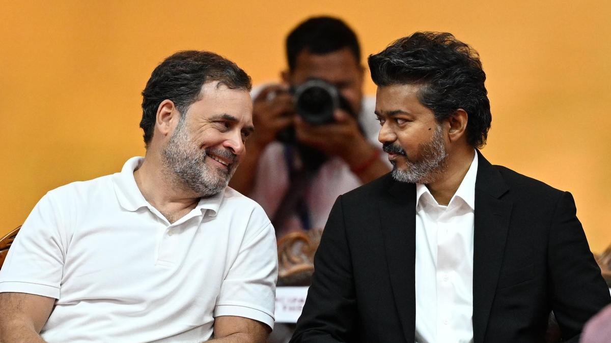 TVK allots lone Rajya Sabha seat from Tamil Nadu to Congress for bypoll