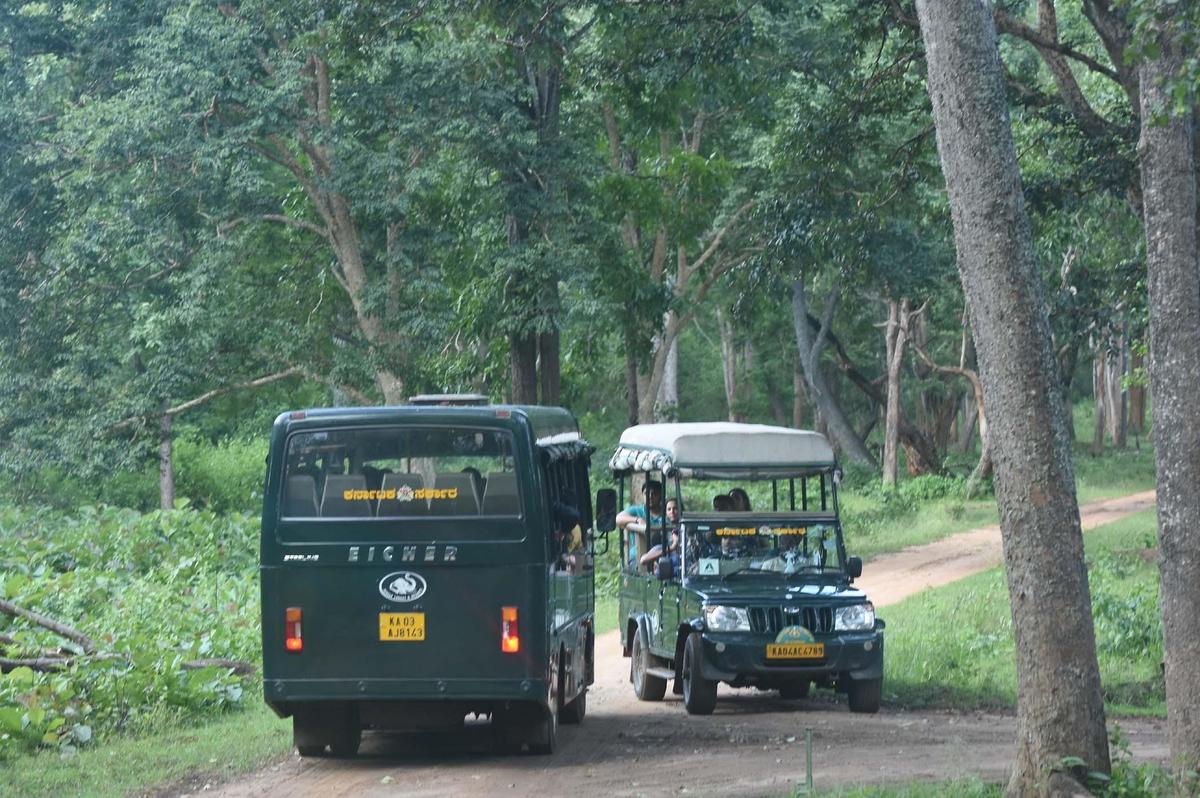 Karnataka farmers warn against resuming safari in Bandipur and Nagarahole, threaten  agitation - The Hindu