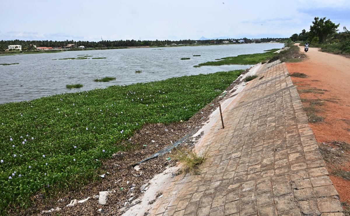 No safety: The Kannampalayam tank near  Sulur. The 10-year-old girl was found dead in bushes abutting the northern bund of the tank. The tank is a part of the Noyyal river system once favoured by birders of  Coimbatore.