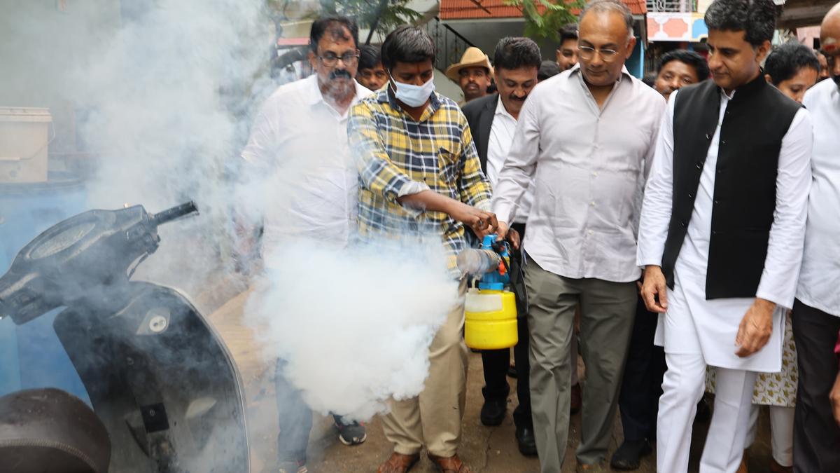 Doctors seeing many patients with typical dengue symptoms testing negative in Karnataka