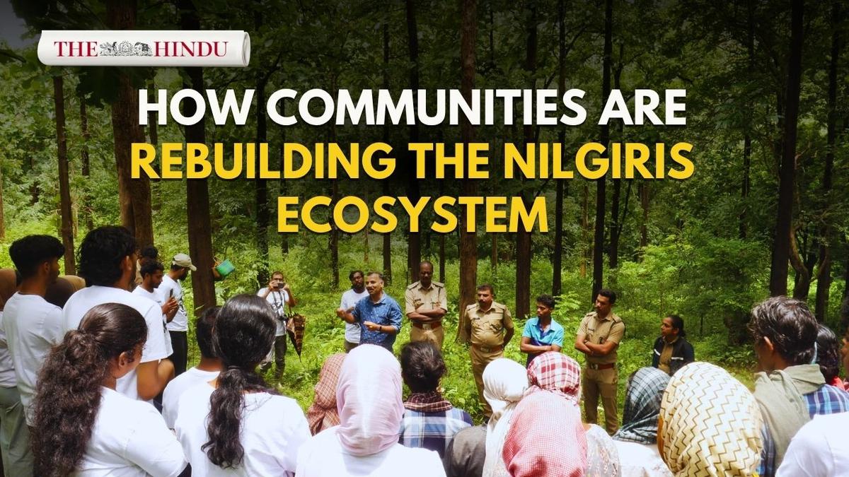 Watch: How communities are rebuilding the Nilgiris ecosystem