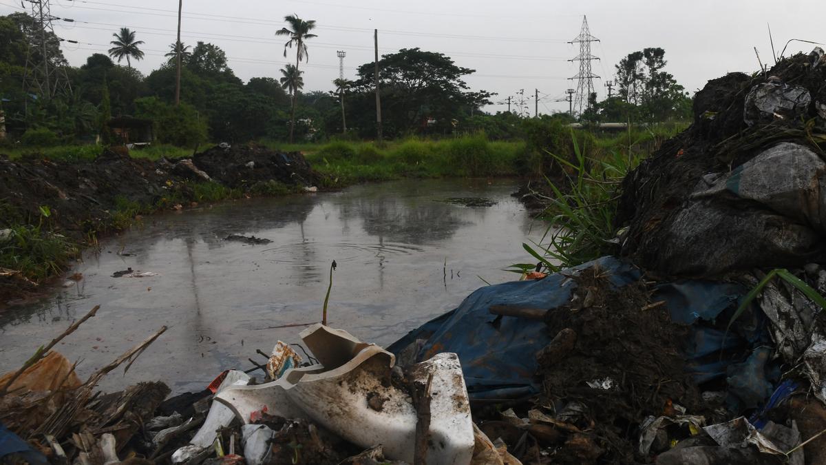 Konothupuzha restoration gets technical nod