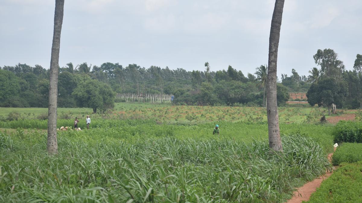 Farmers petition CM to drop land acquisition in Devanahalli taluk of Karnataka