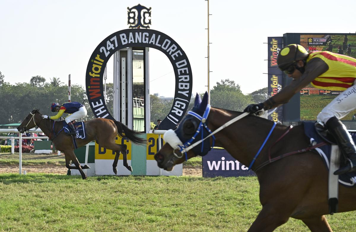 Karnataka High Court prohibits horse racing and betting at Bangalore Turf Club for now   