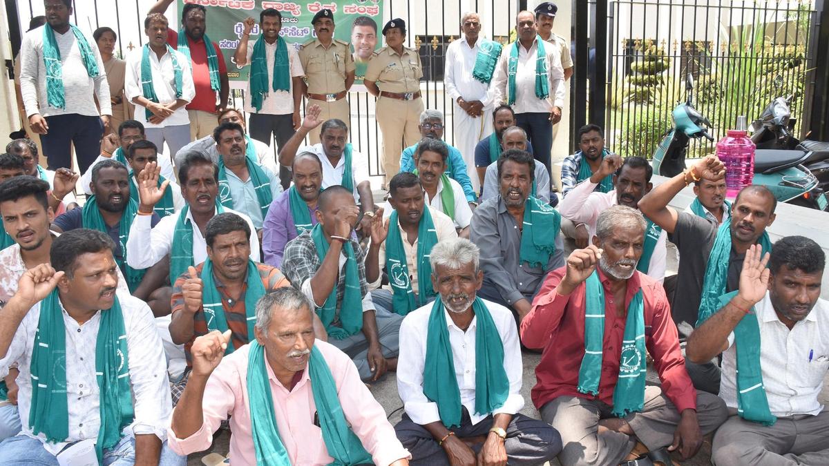 Mysuru farmers seek assured daytime power for pumpsets