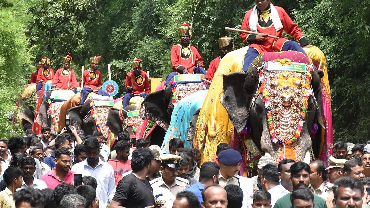 Grand event marks Gajapayana of nine Dasara elephants
