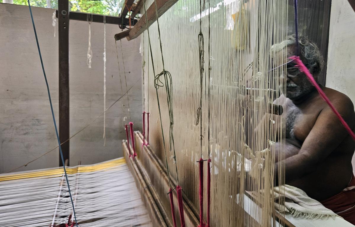 A weaver at a handloom weaving unit at Kuthampully.