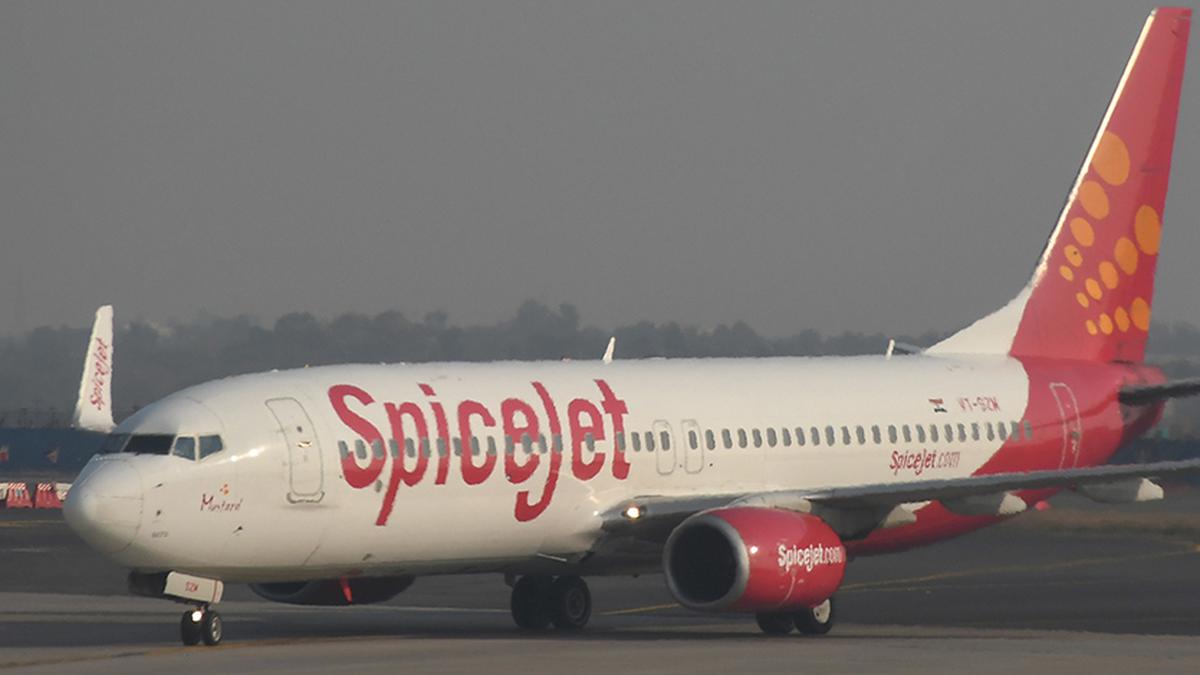 Passenger offloaded from SpiceJet plane at Delhi airport for 'unruly behaviour' arrested