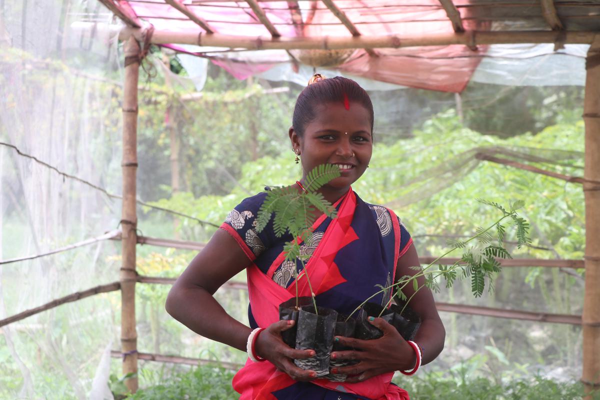 Laxmi Devi, une entrepreneuse à succès dans une pépinière.