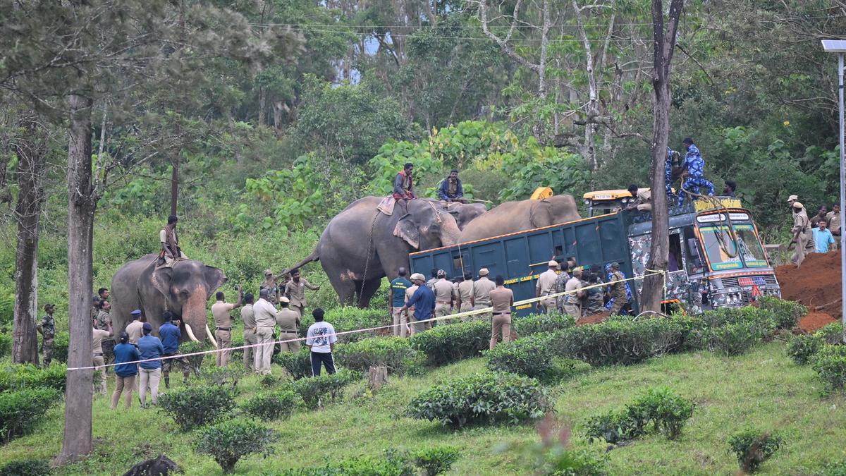 Tamil Nadu election 2026: Negative human-wildlife interactions a major issue in Gudalur constituency
