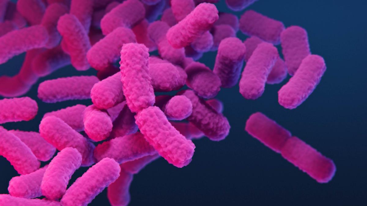 Targeting fatty coat of bacteria can make existing TB drugs more effective, say researchers