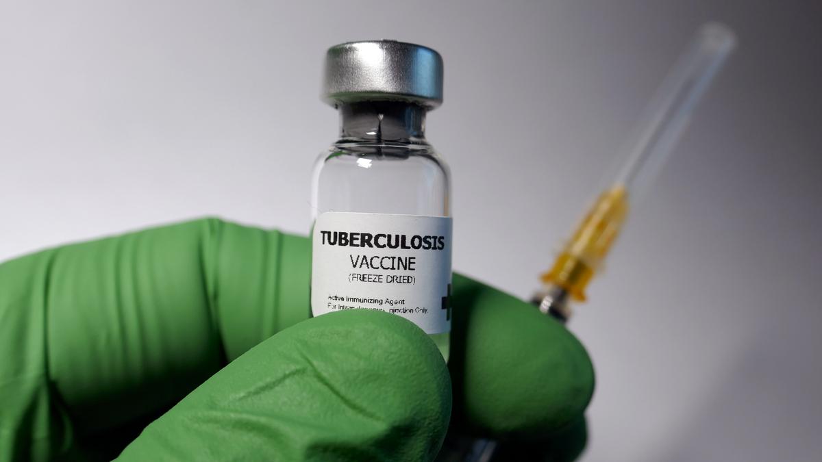India’s rural, tribal and migrant communities continue to face multiple challenges when fighting tuberculosis: Report
