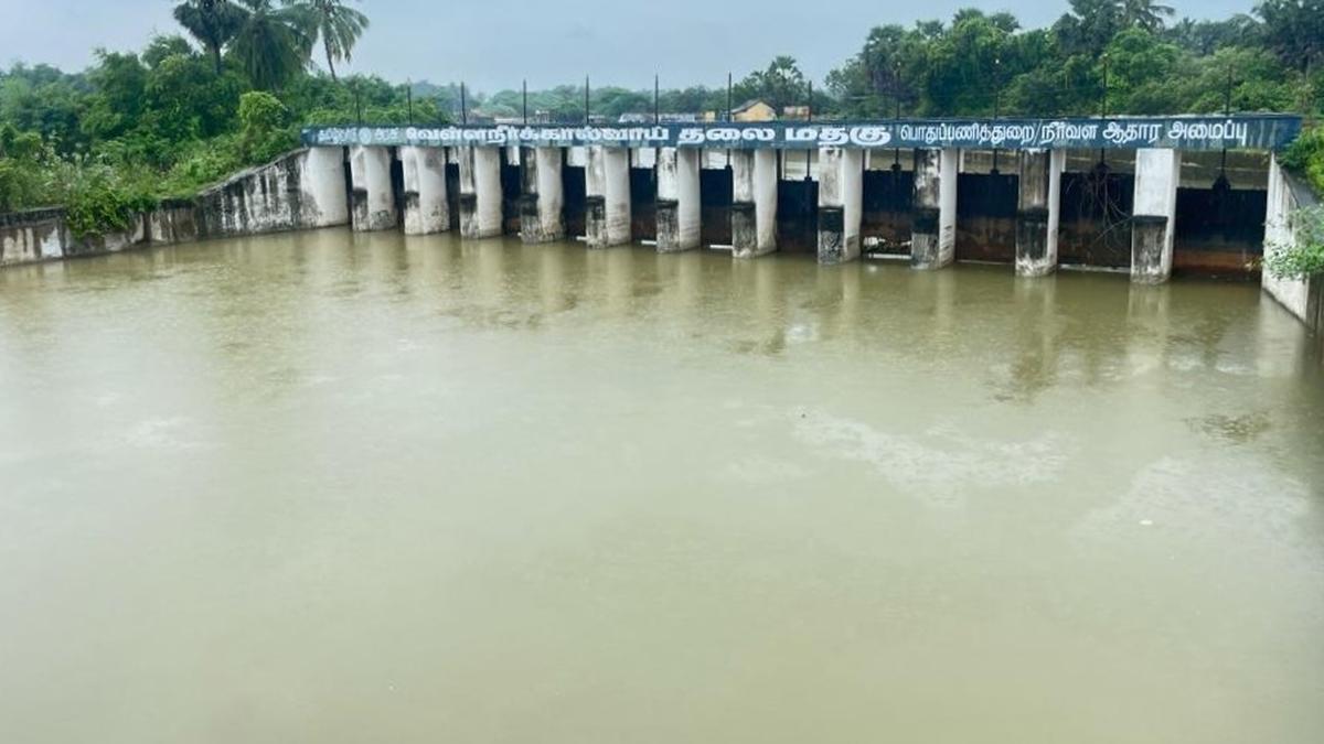 With breaches plugged, flood carrier channel receives Tamirabharani water again