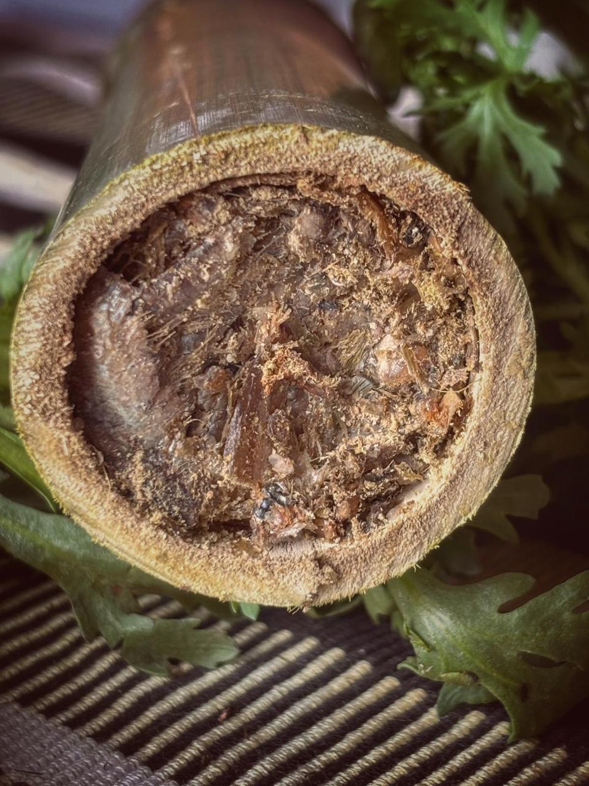 Their rich heritage apart, fermented foods are very nutritious