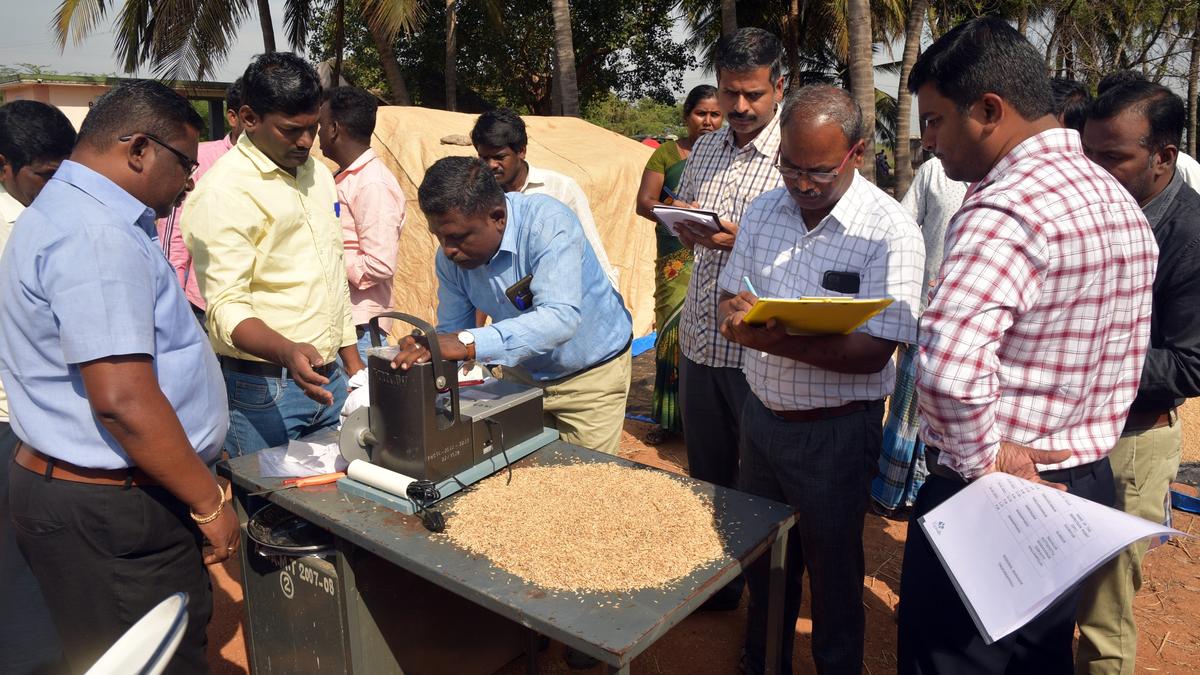 Central team checks paddy at DPCs in Tiruchi and Pudukottai districts