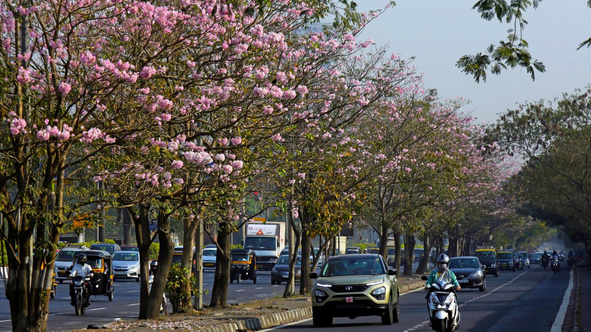 Maharashtra Assembly passes bill empowering local tree authorities to allow felling of trees in all cases