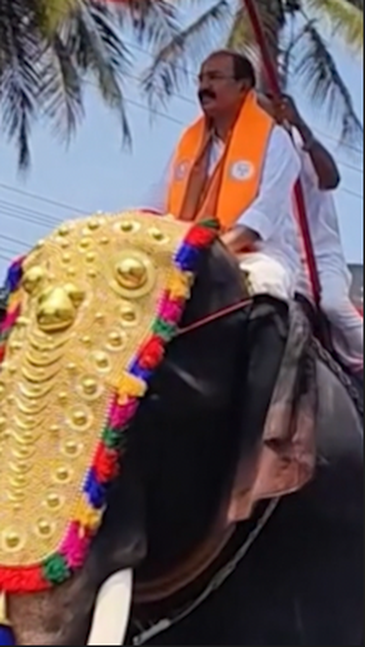 Watch: Candidate arrives on mechanical elephant to file nomination in Kerala