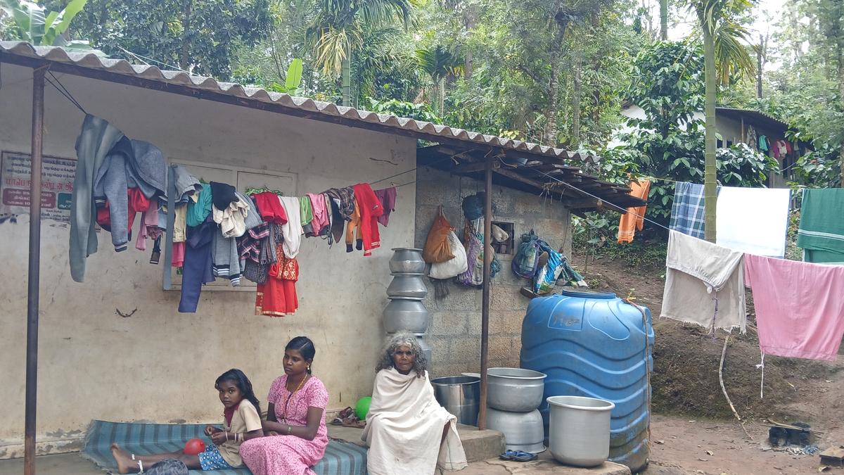 Seven years after relocation, Adivasi families left without access to basic amenities in Nilgiris