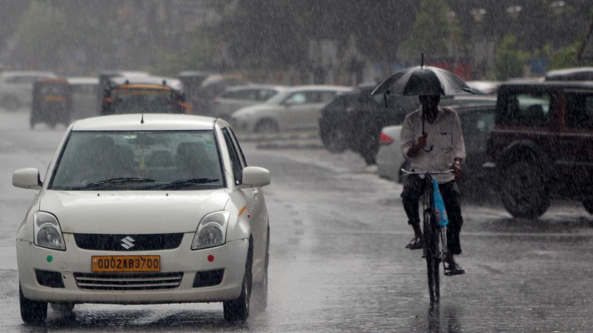 Odisha puts districts on high alert for heavy rain as low-pressure area forms over Bay of Bengal thumbnail
