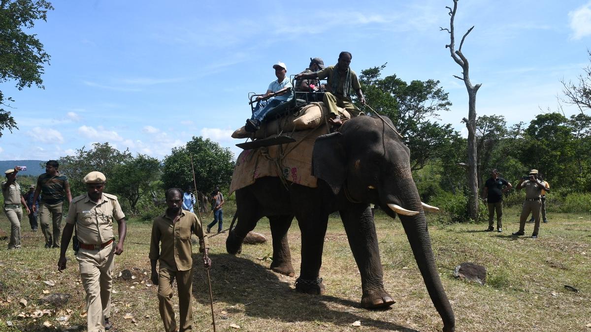 Command and Control Center to be established in the Nilgiris to mitigate negative human-animal interactions
