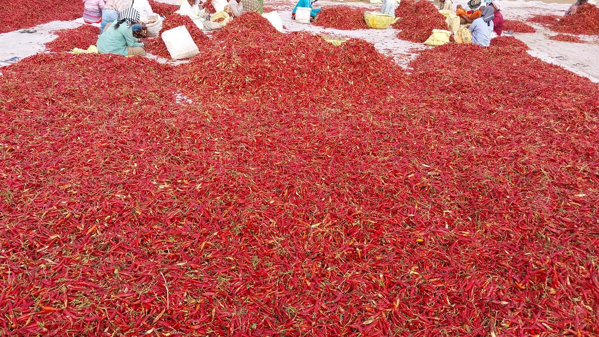 Patanjali Foods recalls four tonnes of red chilli powder; urges customers to return product, claim refund