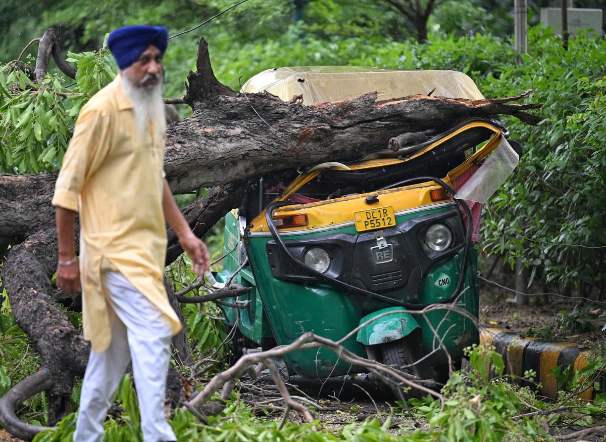 A tree fell down due to storm in New Delhi on May 17, 2025.